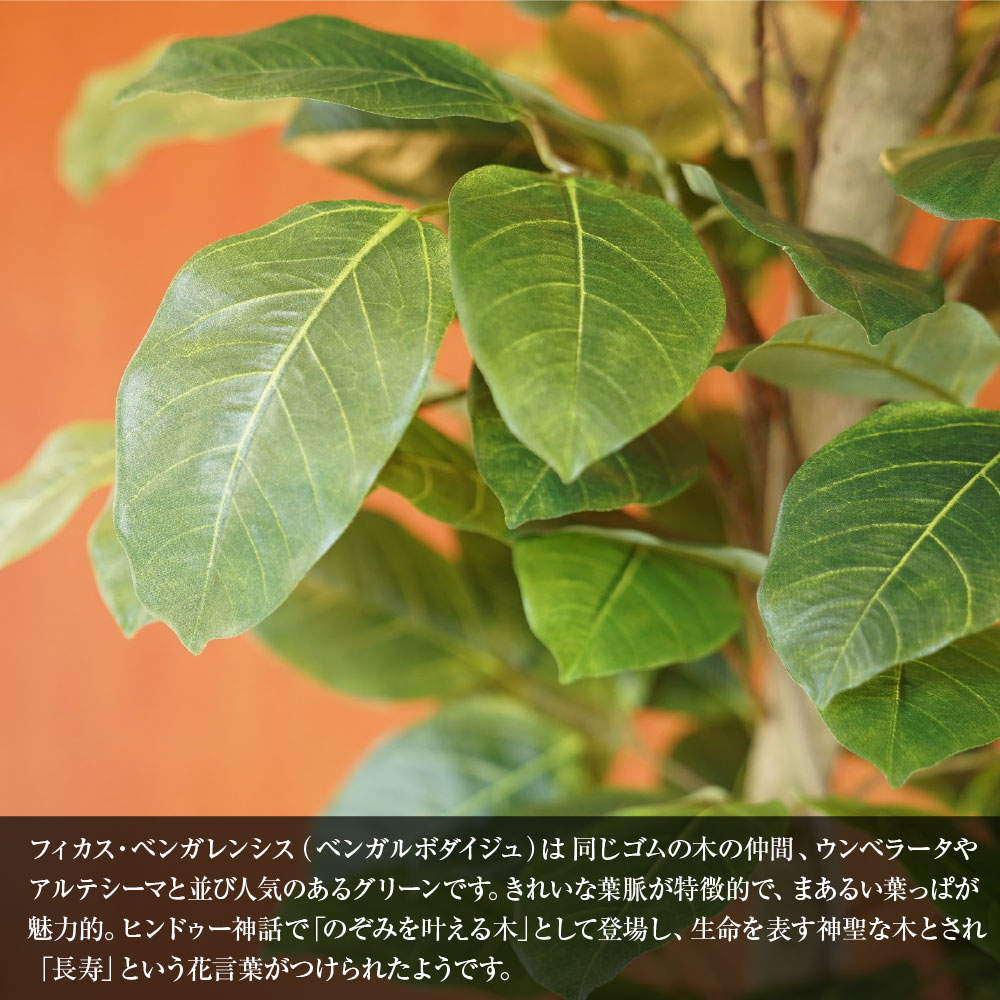光触媒 人工観葉植物 ウォールグリーン フェイクグリーン フィカスベン