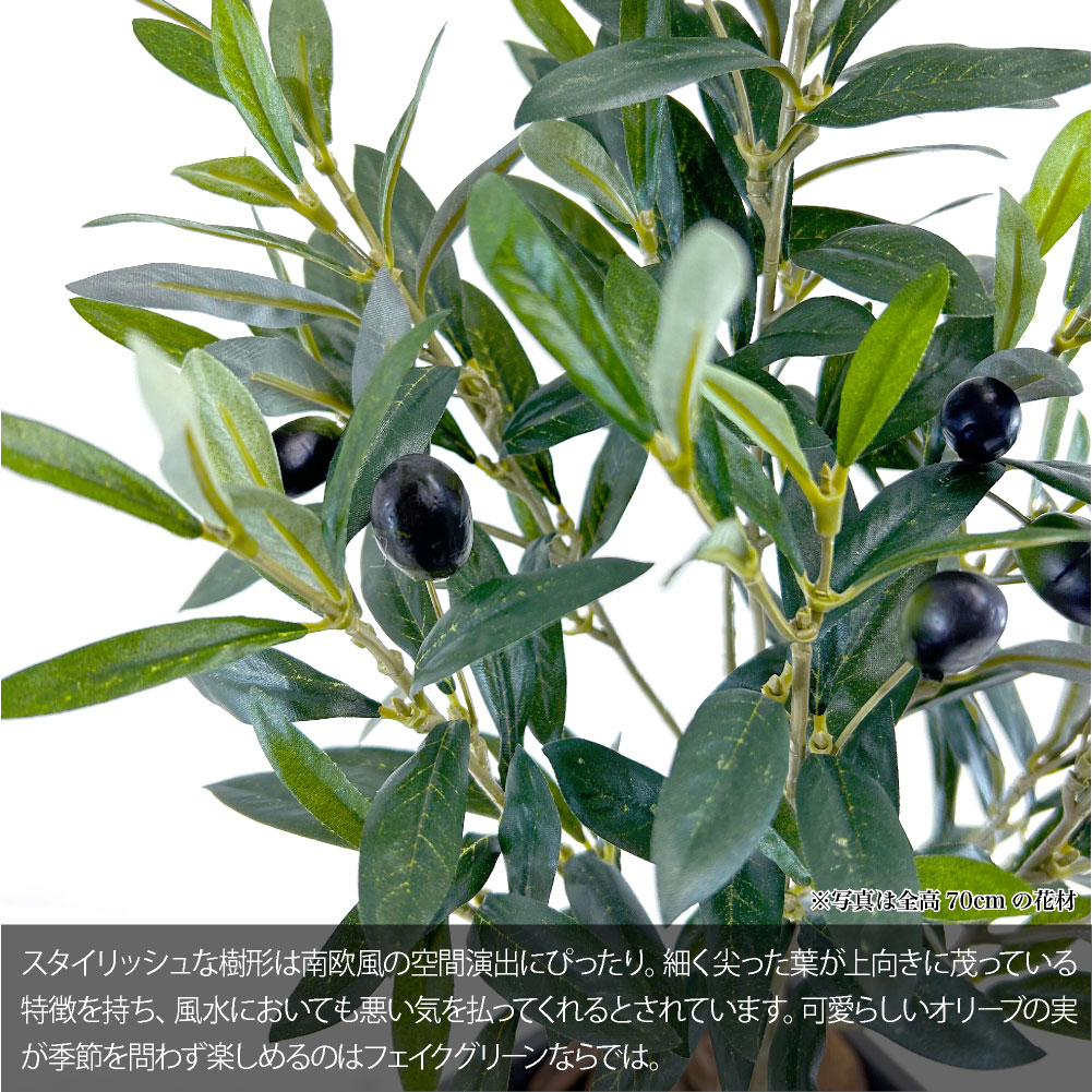 フェイクグリーン オリーブ おしゃれ 人工 観葉植物 光触媒 CT触媒 南欧 北欧 インテリア / イタリアン オリーブ ヴィットーリア 全高70cm 樹脂鉢SSサイズの画像