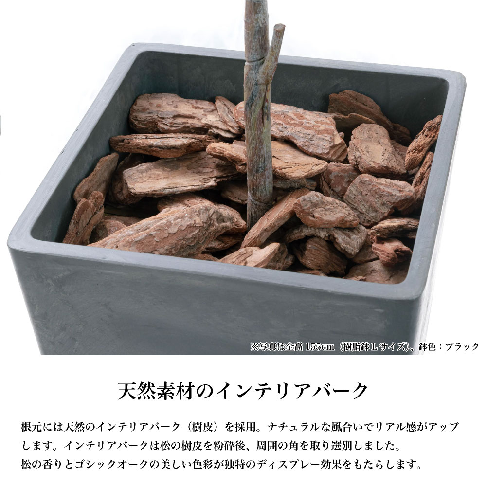 フェイクグリーン オリーブ おしゃれ 人工 観葉植物 光触媒 CT触媒 南欧 北欧 インテリア / イタリアン オリーブ ヴィットーリア 全高70cm 樹脂鉢SSサイズの画像