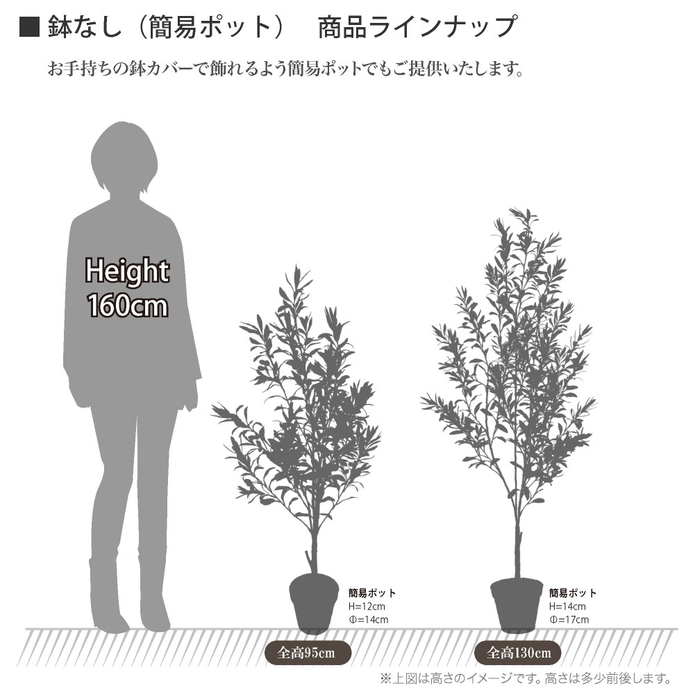 フェイクグリーン オリーブ おしゃれ 人工 観葉植物 光触媒 CT触媒 南欧 北欧 インテリア / イタリアン オリーブ ヴィットーリア 全高70cm 樹脂鉢SSサイズの画像