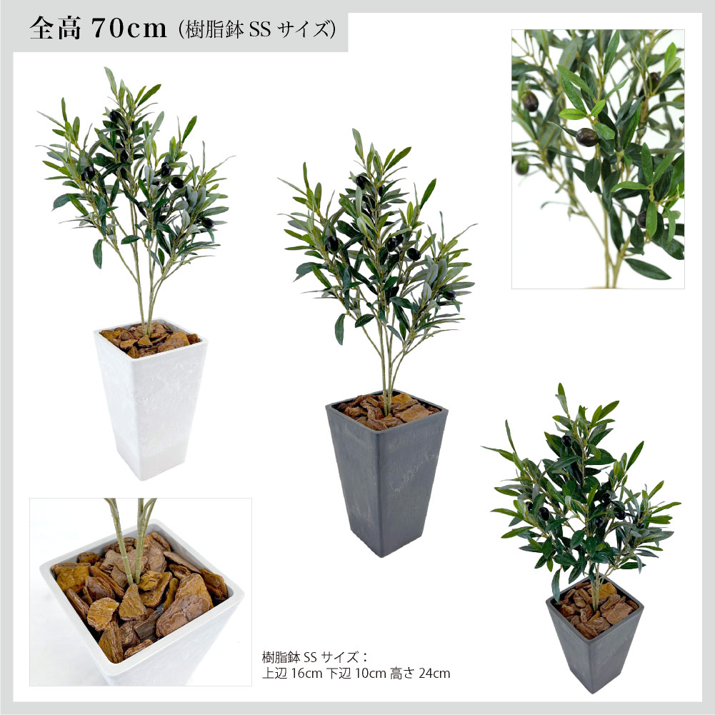 フェイクグリーン オリーブ おしゃれ 人工 観葉植物 光触媒 CT触媒 南欧 北欧 インテリア / イタリアン オリーブ ヴィットーリア 全高70cm 樹脂鉢SSサイズの画像