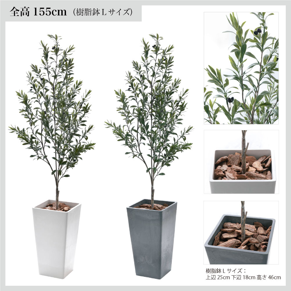 フェイクグリーン オリーブ おしゃれ 人工 観葉植物 光触媒 CT触媒 南欧 北欧 インテリア / イタリアン オリーブ ヴィットーリア 全高155cm 樹脂鉢Lサイズ_10