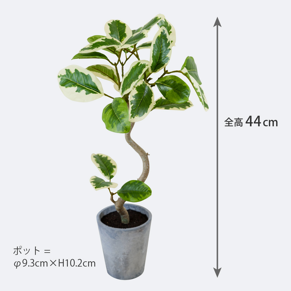 フェイクグリーン 卓上 観葉植物 ベンジャミン...の詳細画像1