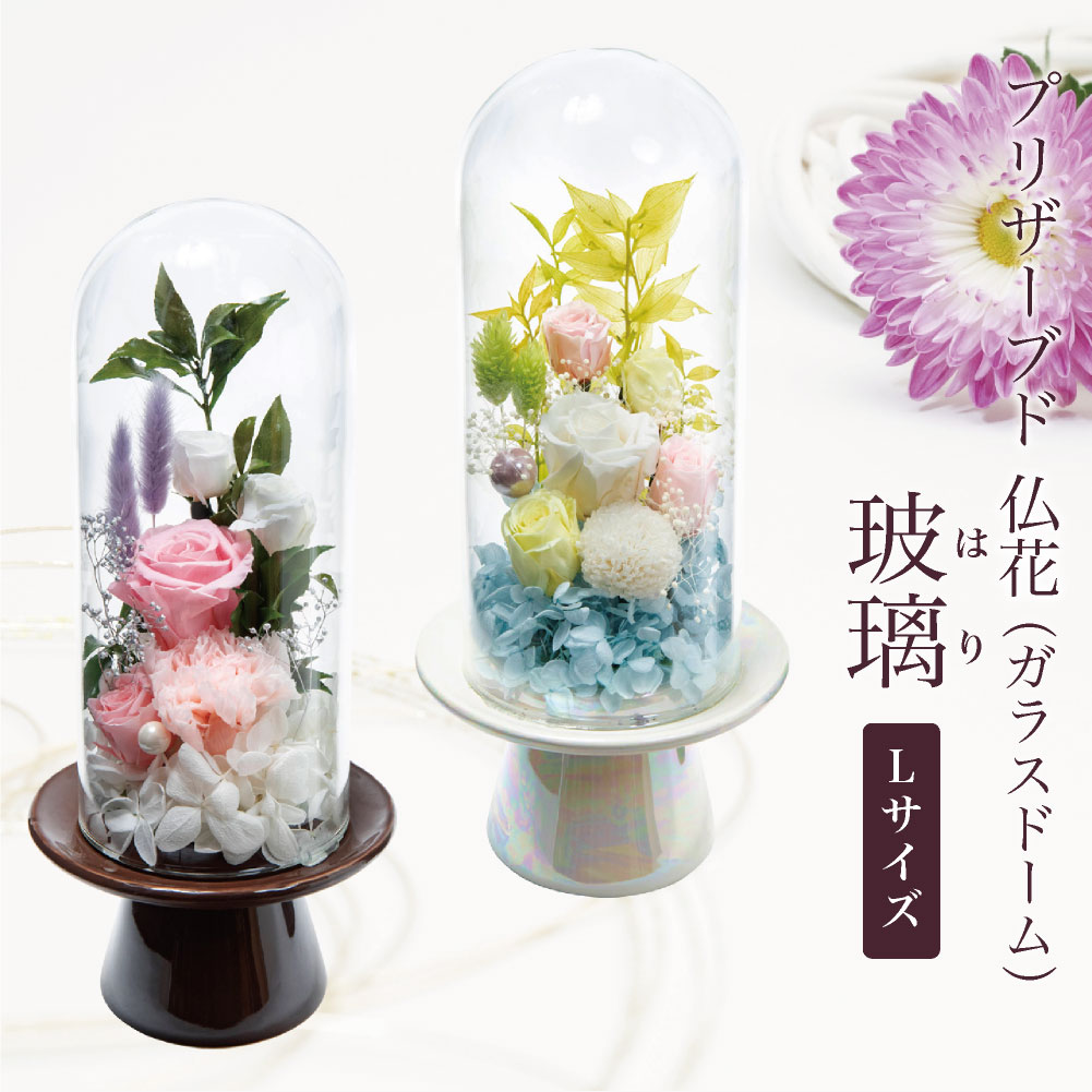 Lサイズ