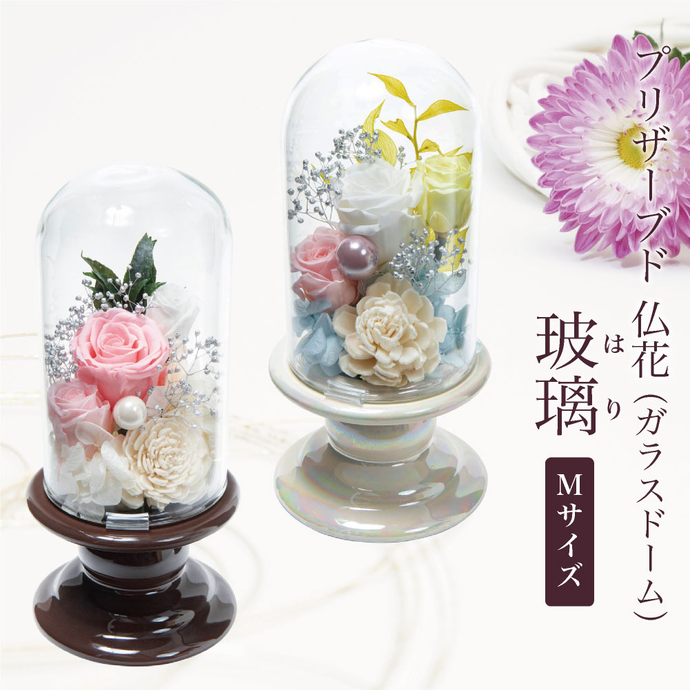 Mサイズ