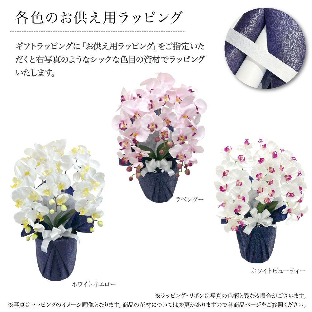 胡蝶蘭