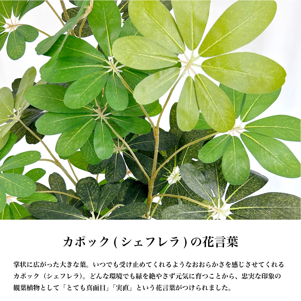 シェフレラ 商品一覧 - フェイクグリーンの神戸花物語 - 売れ筋通販