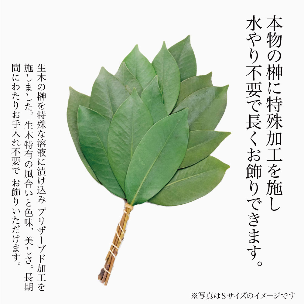神戸花物語 榊 プリザーブドフラワー 造花 枯れない 天然 サカキ