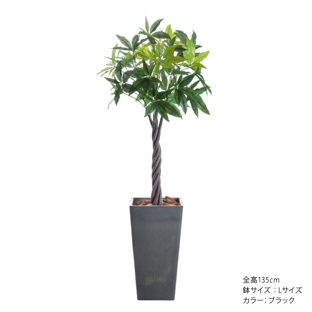 観葉植物 パキラ 140cmの商品一覧 通販 - Yahoo!ショッピング