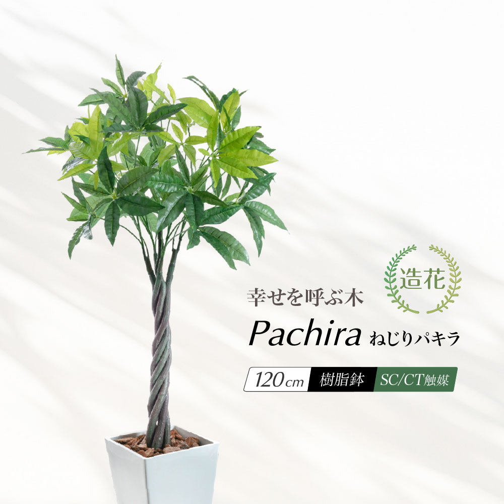 楽天市場】人工観葉植物 パキラ 一本 フェイクグリーン 大型