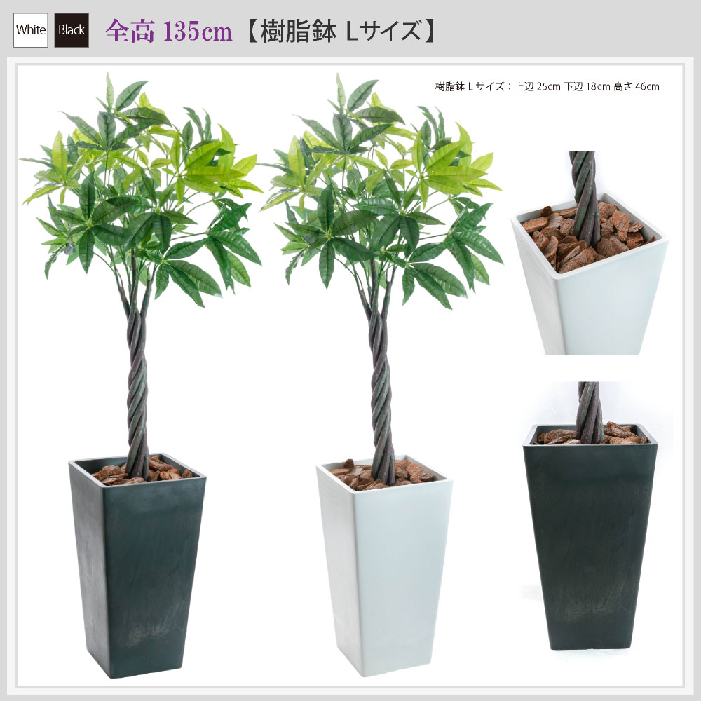 観葉植物 パキラ 140cmの商品一覧 通販 - Yahoo!ショッピング