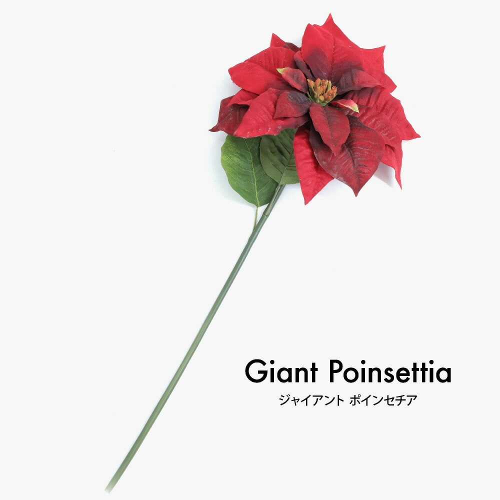 光触媒　人工観葉植物　ウォールグリーン　フェイク　フラワー　ポインセチア 光触媒 人工観葉植物 ウォールグリーン フェイク フラワー