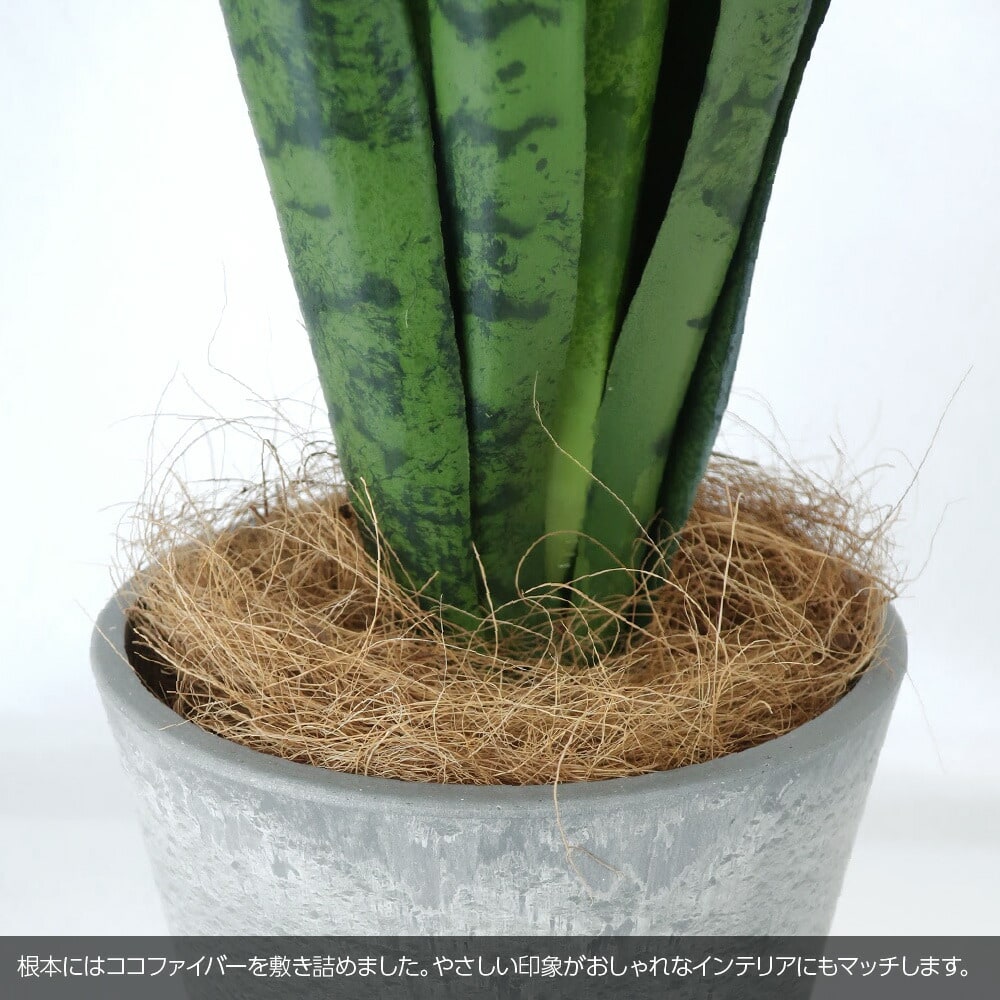 人工観葉植物 フェイクグリーン 観葉植物 造花 光触媒 サンスベリア