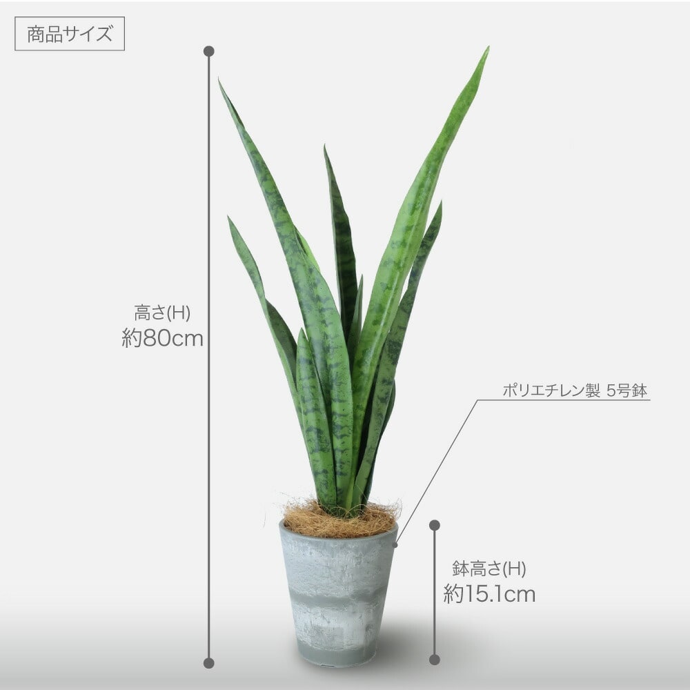 人工観葉植物 フェイクグリーン 観葉植物 造花 光触媒 サンスベリア