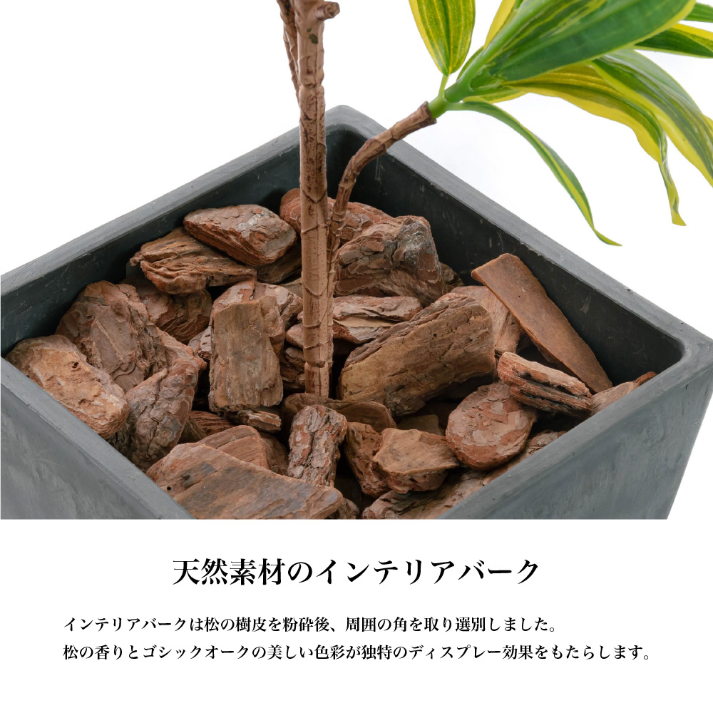 神戸花物語 フェイクグリーン インディア ドラセナ 観葉植物