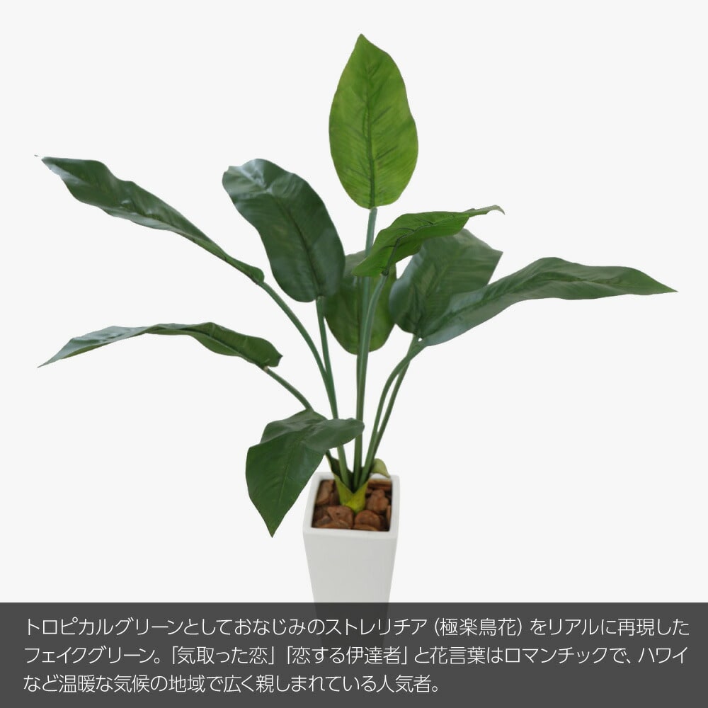 人工観葉植物 フェイクグリーン 大型 ストレリチア ニコライ 100cm