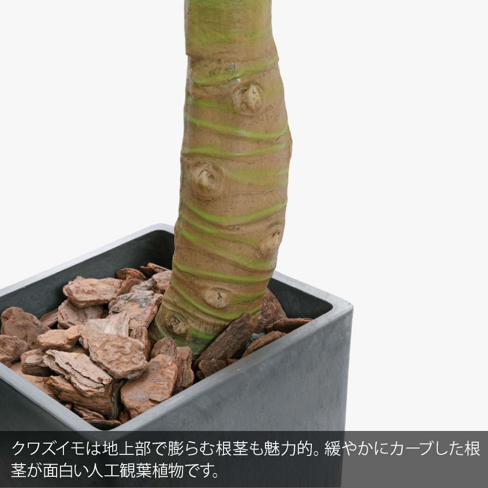 フェイクグリーン 観葉植物 大型 光触媒 造花...の詳細画像2