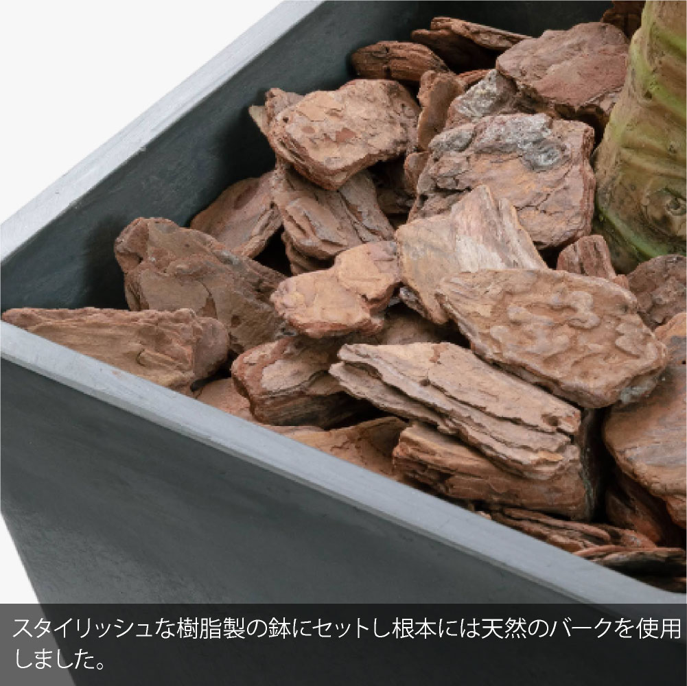 フェイクグリーン 観葉植物 大型 光触媒 造花...の詳細画像3