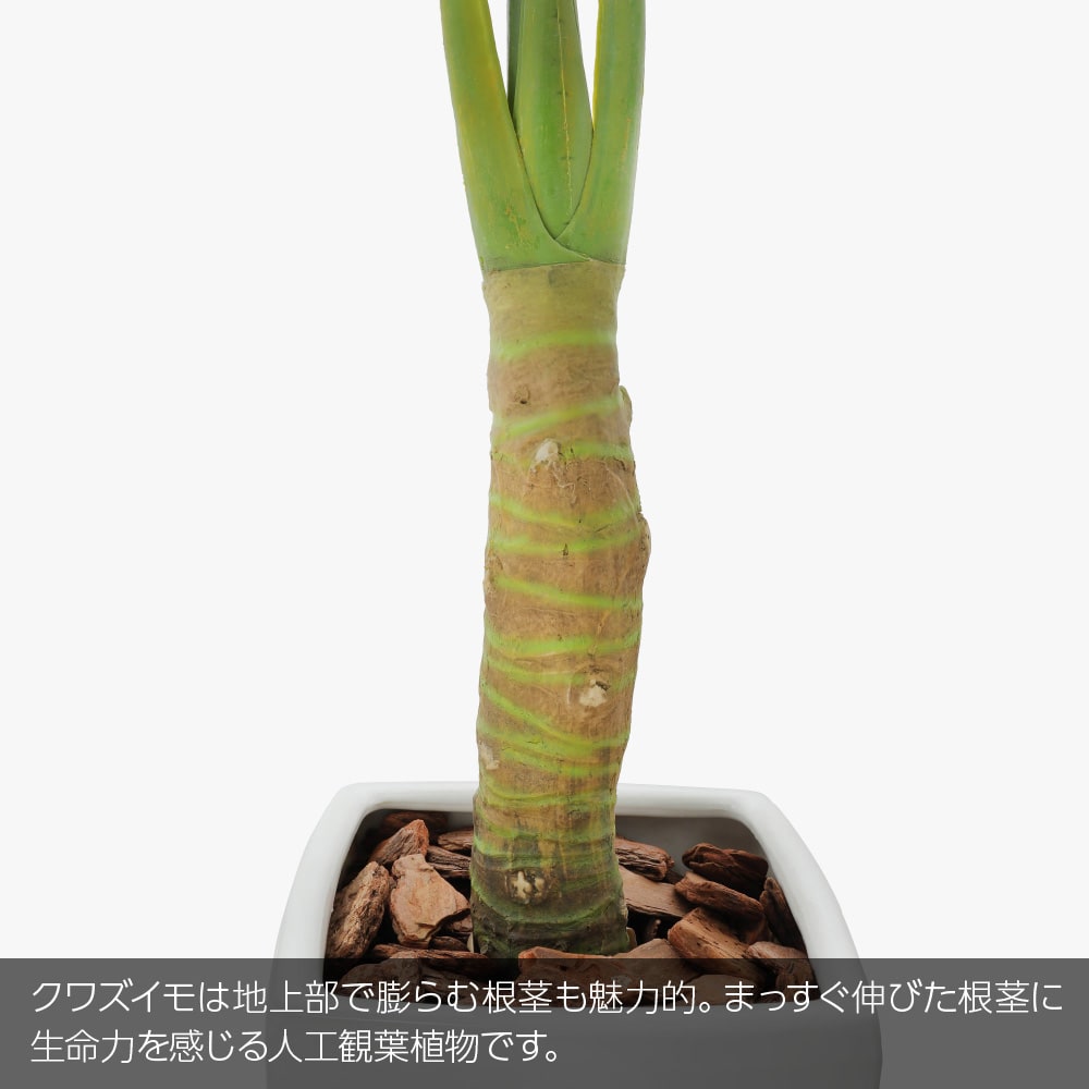 神戸花物語 フェイクグリーン 観葉植物 大型 光触媒 造花