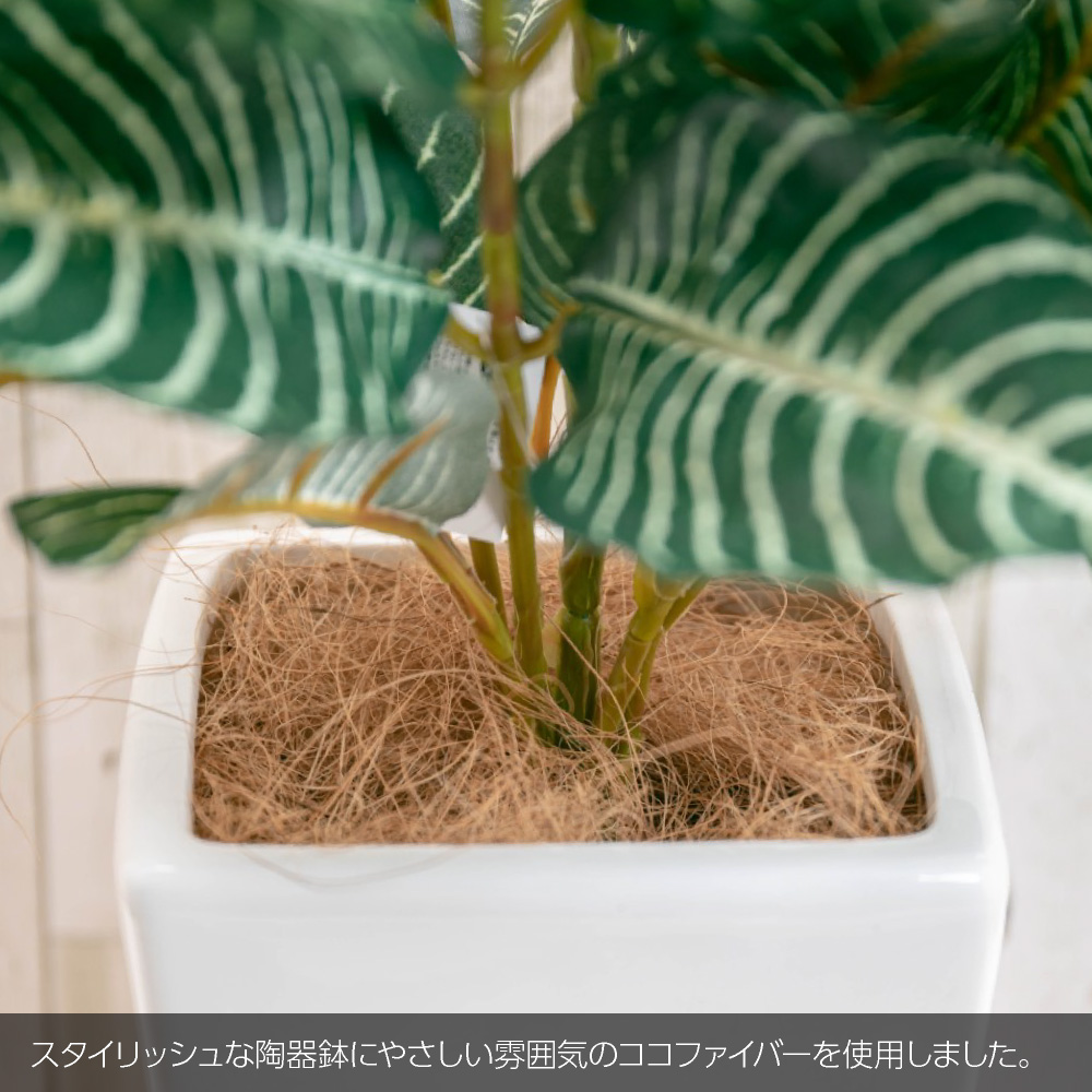 神戸花物語 フェイクグリーン 観葉植物 人工観葉 大型 光触媒 造花