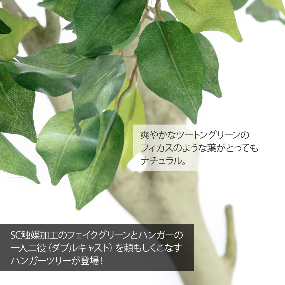 フェイクグリーン 大型 観葉植物 フィカス 人工観葉 光触媒 消臭 造花 鉢植 インテリア おしゃれ お祝い / ハンガーツリー ダブルキャスト 185cmの画像