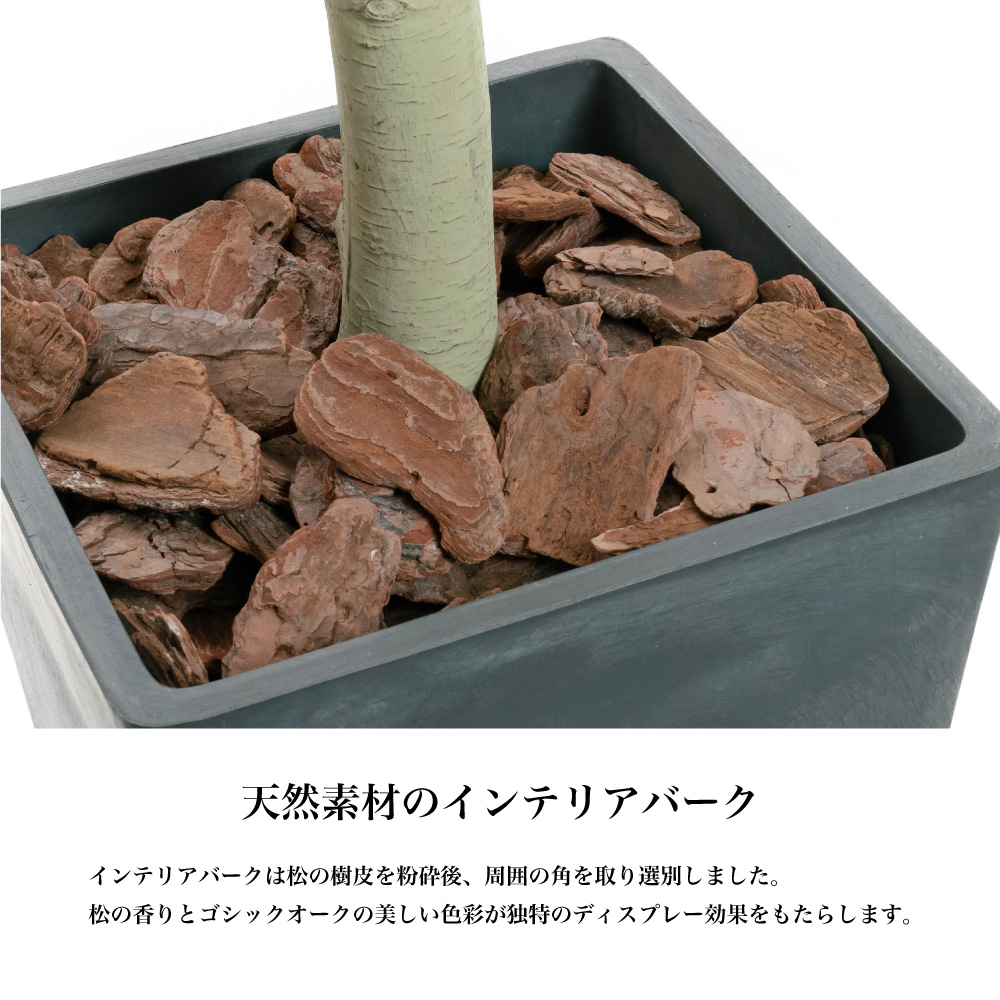 フェイクグリーン 大型 観葉植物 フィカス 人工観葉 光触媒 消臭 造花 鉢植 インテリア おしゃれ お祝い / ハンガーツリー ダブルキャスト 185cmの画像