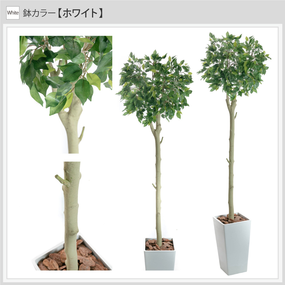 フェイクグリーン 大型 観葉植物 フィカス 人工観葉 光触媒 消臭 造花 鉢植 インテリア おしゃれ お祝い / ハンガーツリー ダブルキャスト 185cmの画像
