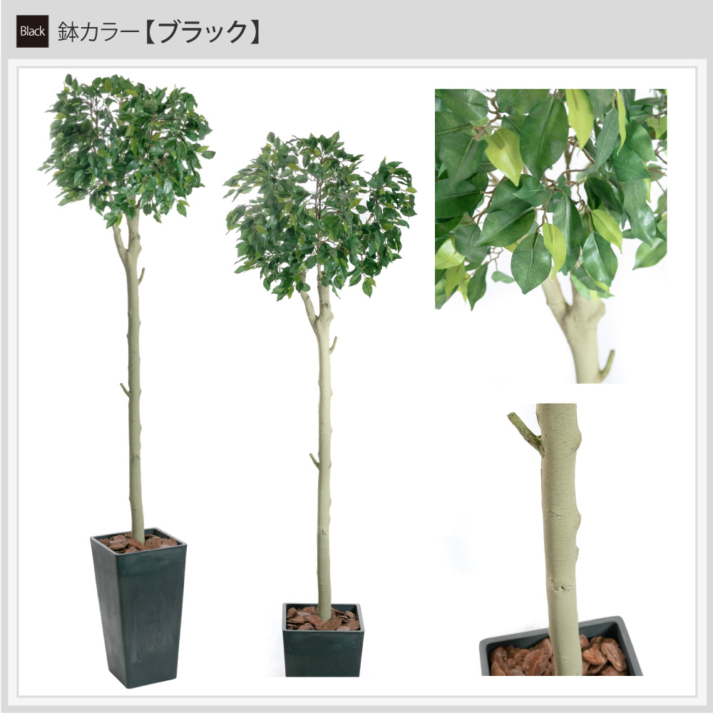 フェイクグリーン 大型 観葉植物 フィカス 人工観葉 光触媒 消臭 造花 鉢植 インテリア おしゃれ お祝い / ハンガーツリー ダブルキャスト 185cmの画像