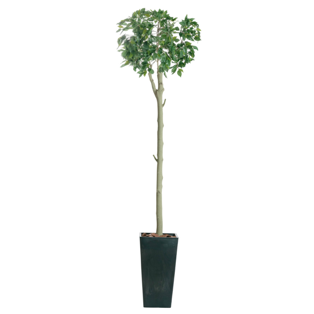 フェイクグリーン 大型 観葉植物 フィカス 人工観葉 光触媒 消臭 造花 鉢植 インテリア おしゃれ お祝い / ハンガーツリー ダブルキャスト 185cmの画像