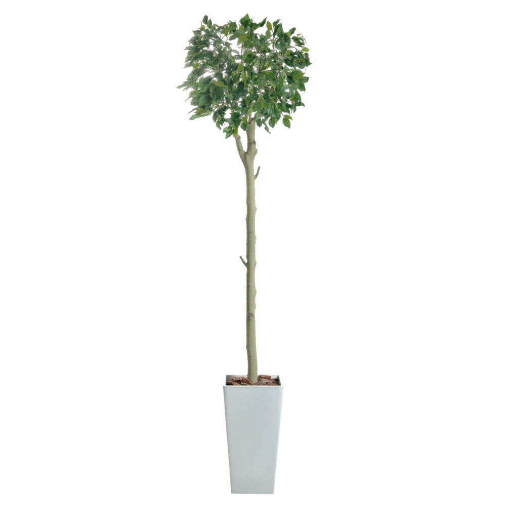 フェイクグリーン 大型 観葉植物 フィカス 人工観葉 光触媒 消臭 造花 鉢植 インテリア おしゃれ お祝い / ハンガーツリー ダブルキャスト 185cmの画像