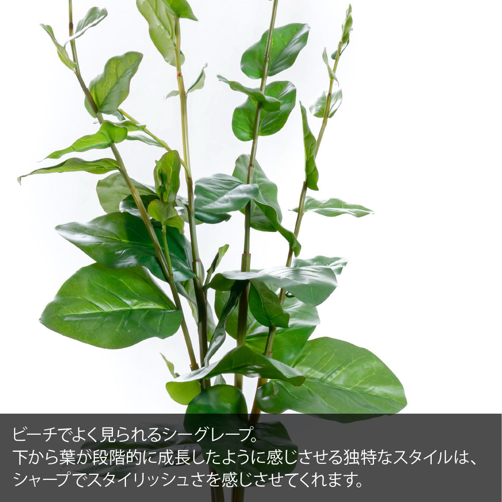 神戸花物語 フェイクグリーン 観葉植物 大型 光触媒 造花 おしゃれ