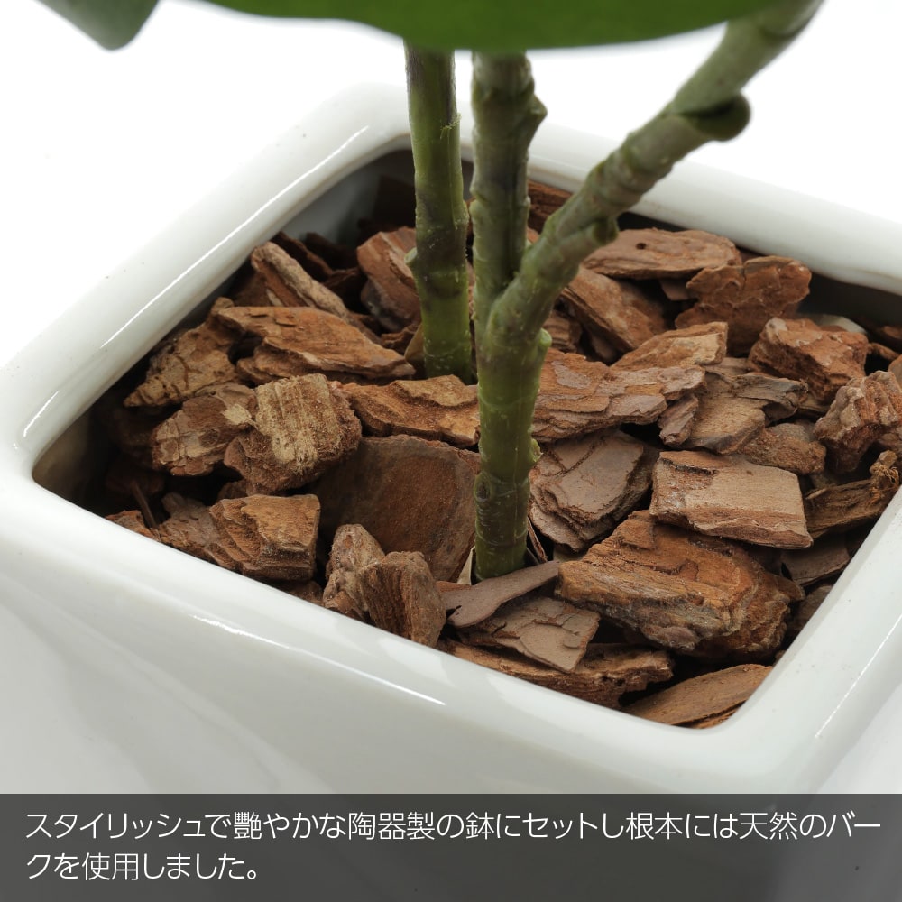 光触媒 人工観葉植物 ウォールグリーン フェイクグリーン シー
