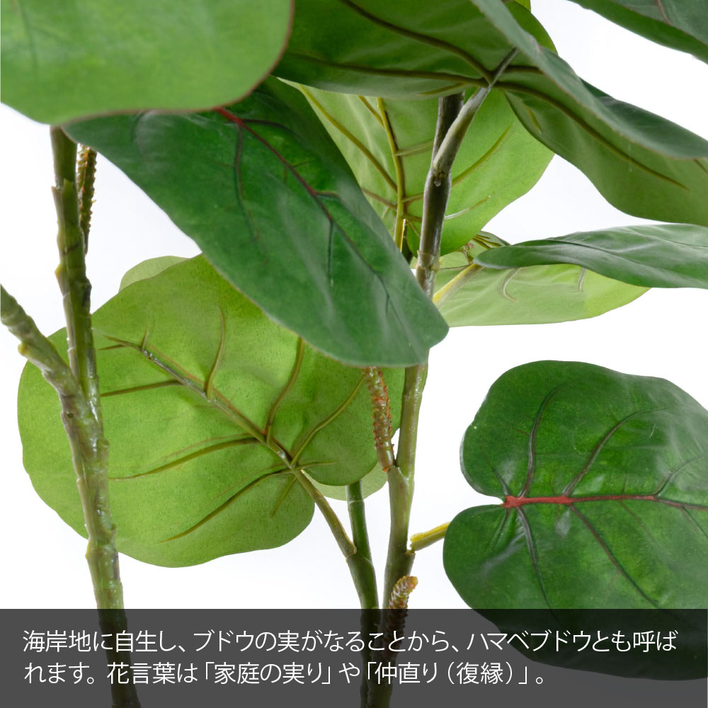 フェイクグリーン 観葉植物 大型 光触媒 造花...の詳細画像2