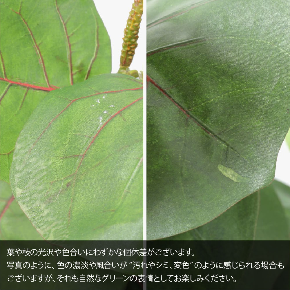 フェイクグリーン 観葉植物 大型 光触媒 造花...の詳細画像3