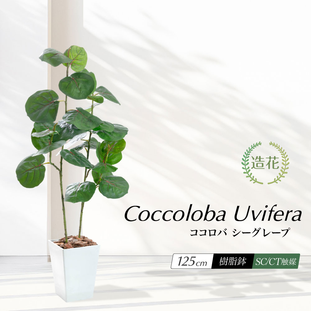 フェイクグリーン 観葉植物 大型 光触媒 造花 おしゃれ 北欧 インテリア 人工 植物 ct触媒 消臭 抗菌 リアル お祝い / ココロバ シーグレープ 樹脂鉢S 全高125cm
