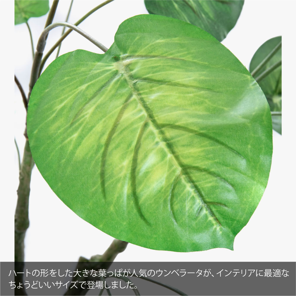 神戸花物語 フェイクグリーン ウンベラータ おしゃれ 人工観葉