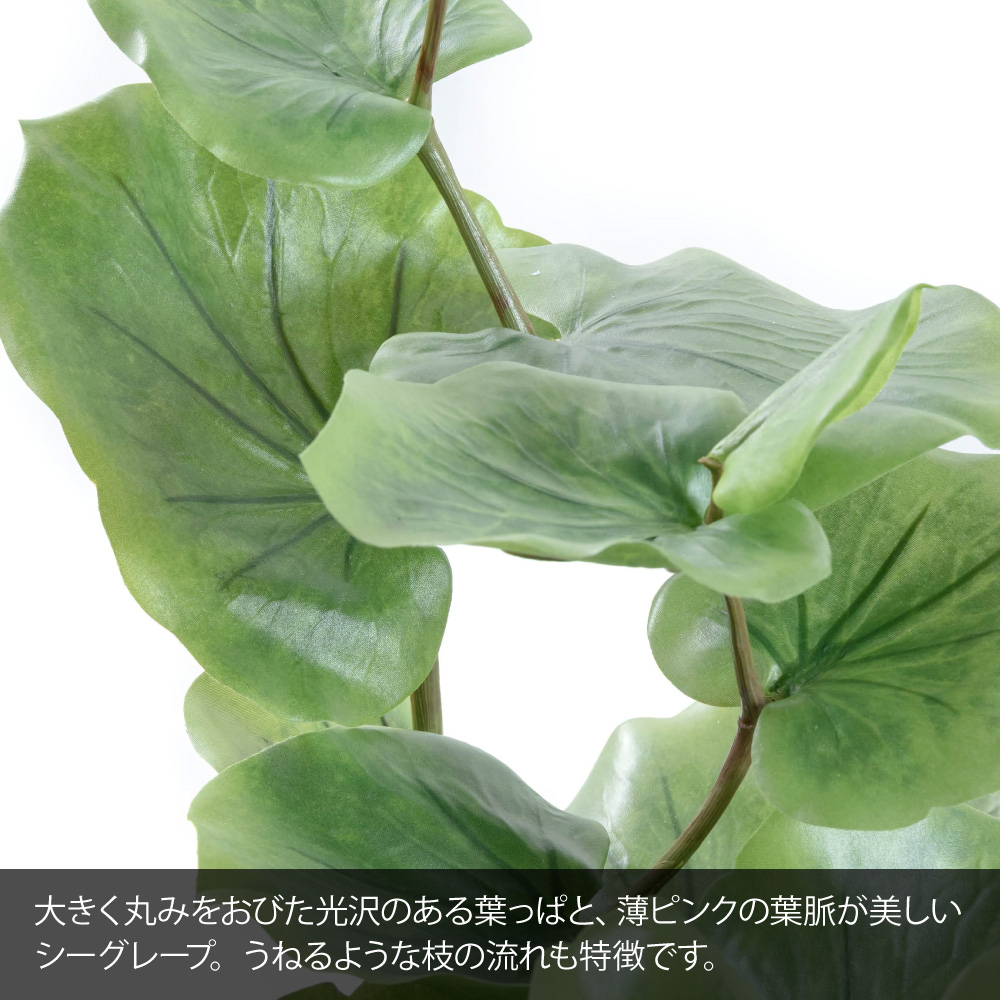 フェイクグリーン 観葉植物 人工観葉 光触媒 ...の詳細画像1