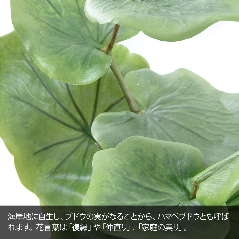 フェイクグリーン 観葉植物 人工観葉 光触媒 ...の詳細画像2