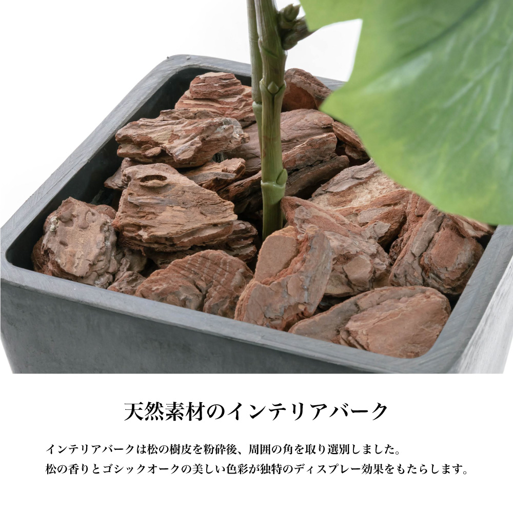 神戸花物語 フェイクグリーン 観葉植物 人工観葉 光触媒 CT触媒
