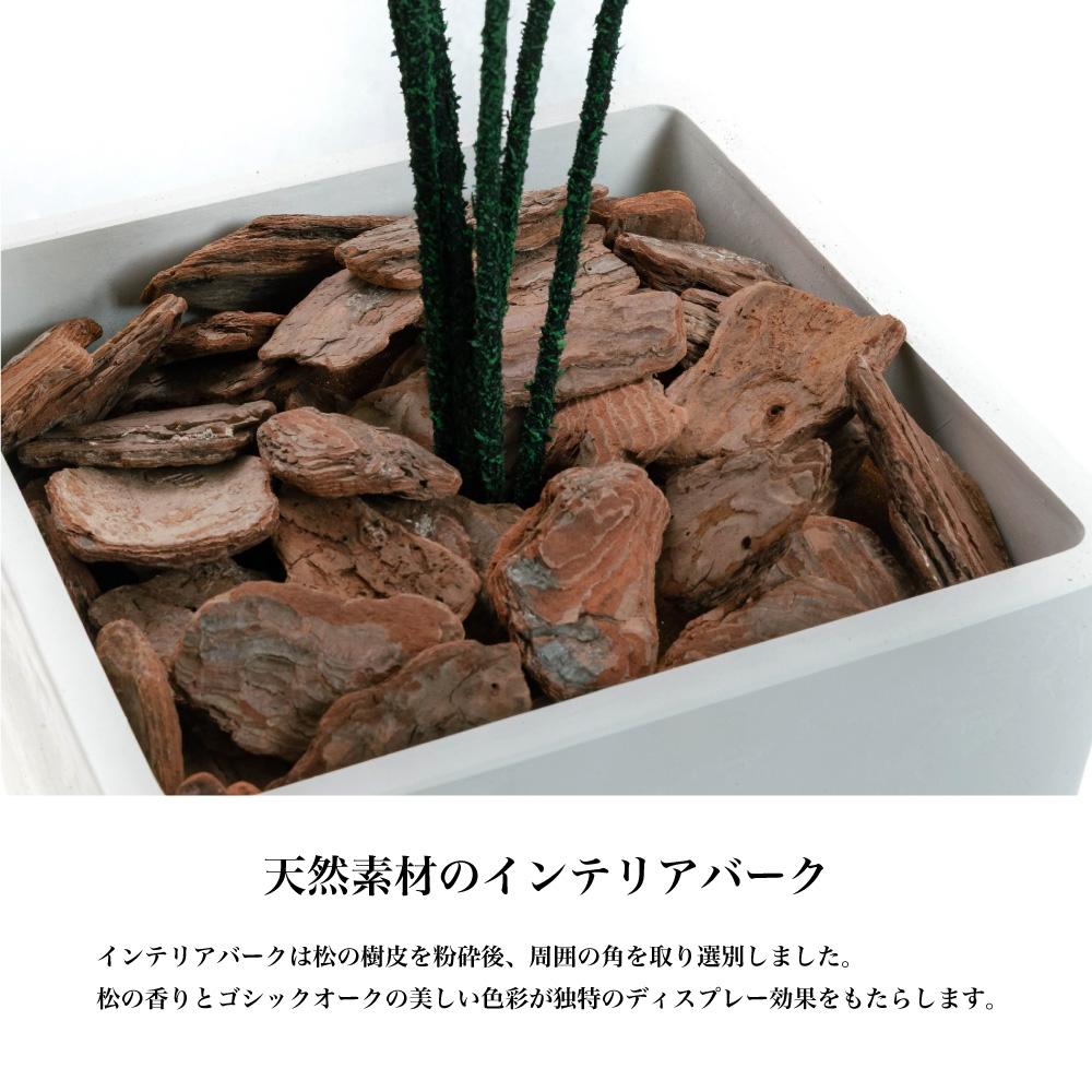 フェイクグリーン 大型 観葉植物 人工観葉 光触媒 CT触媒 消臭 造花 幸福の木 鉢植 おしゃれ リアル お祝い / ドラセナ レインツリー 170cmの画像