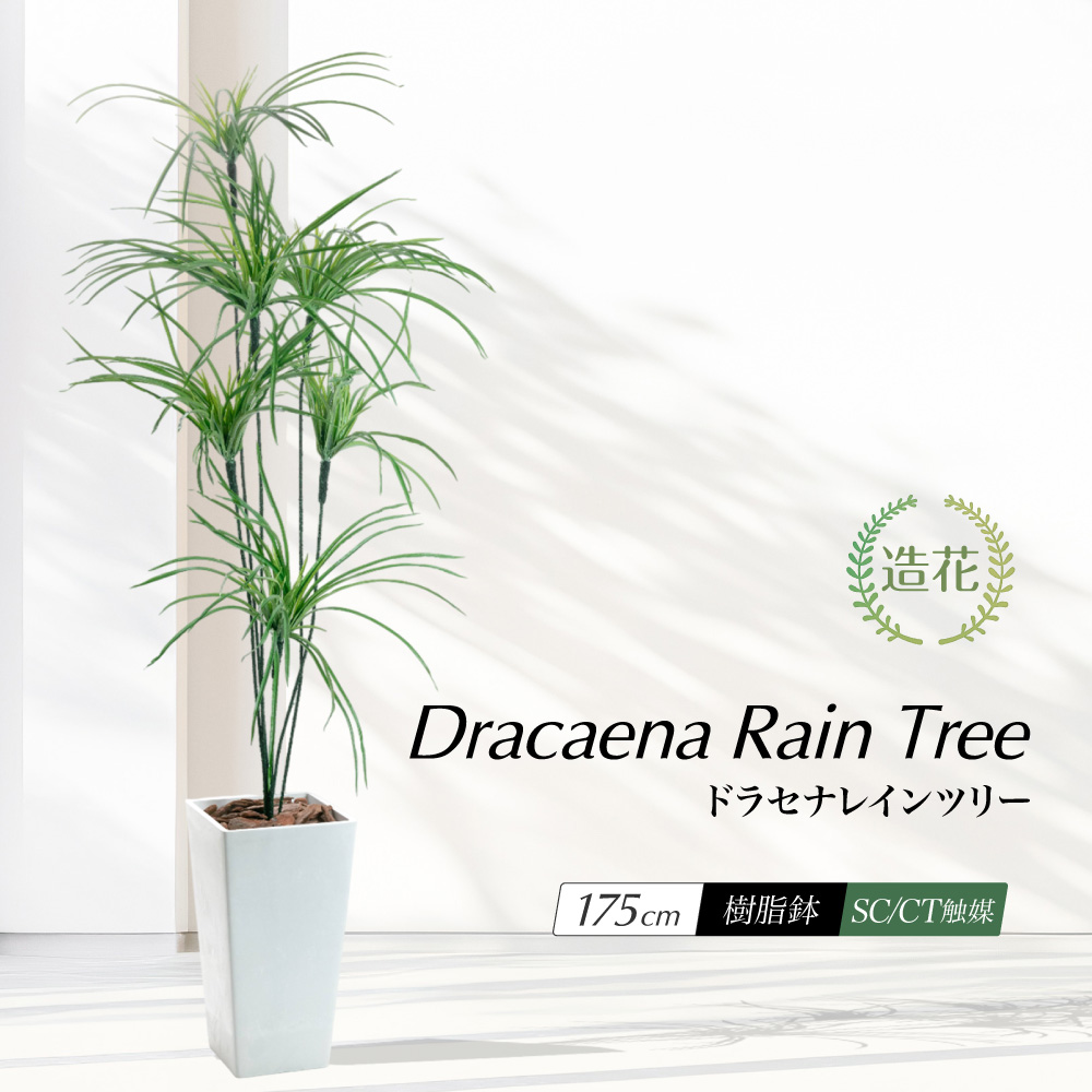 tFCNO[ ^ ϗtA lHϗt G} CTG} L  K̖ A  A j / hZi Cc[ 170cm