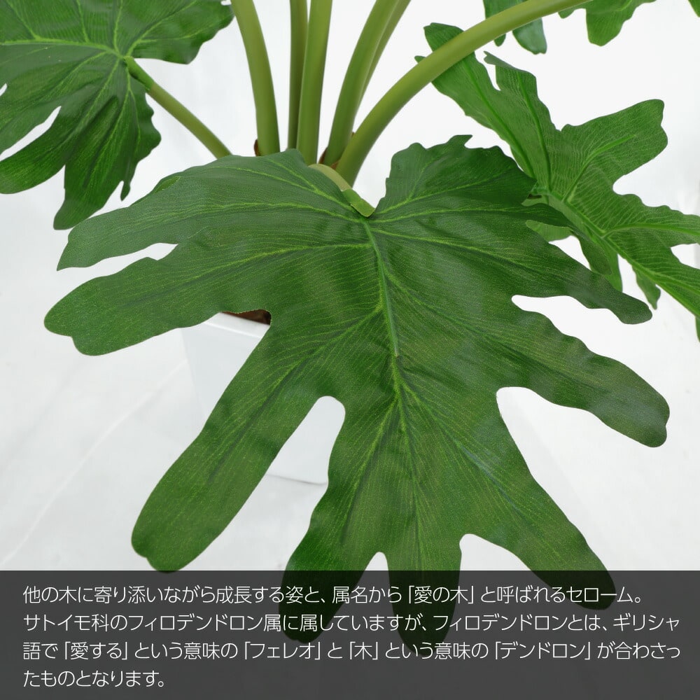 神戸花物語 フェイクグリーン 観葉植物 人工観葉 大型 光触媒 造花 愛