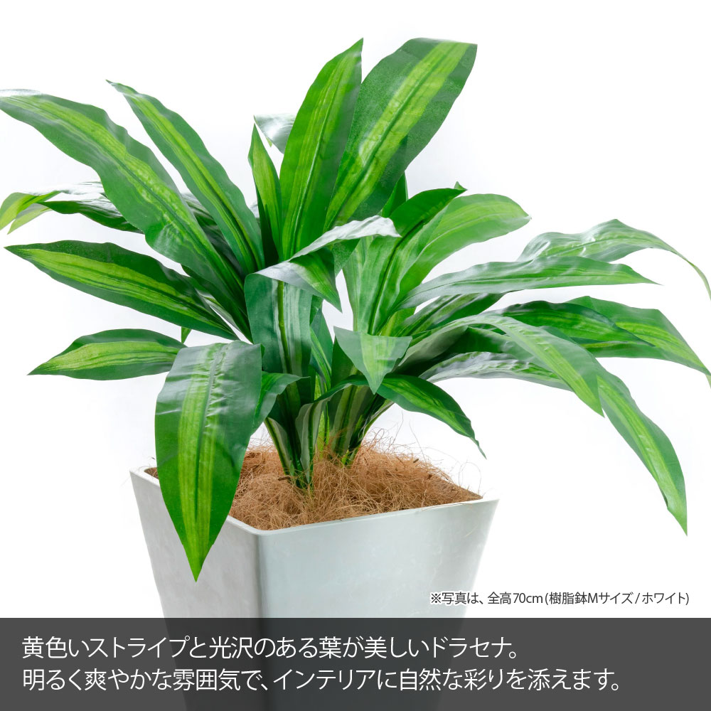 フェイクグリーン 観葉植物 光触媒 造花 おし...の詳細画像1