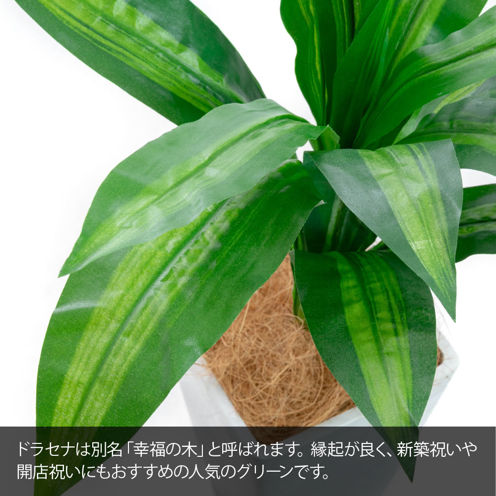 フェイクグリーン 観葉植物 光触媒 造花 おし...の詳細画像2