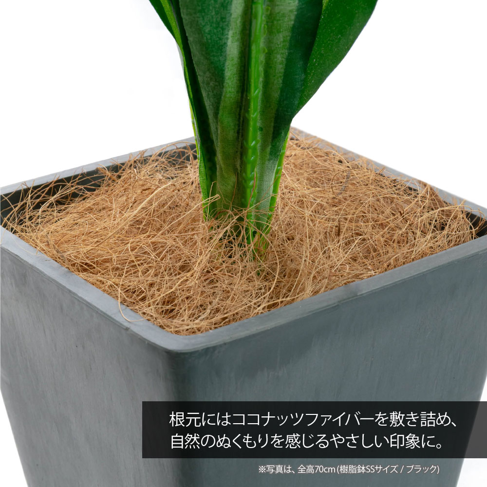 フェイクグリーン 観葉植物 光触媒 造花 おし...の詳細画像3