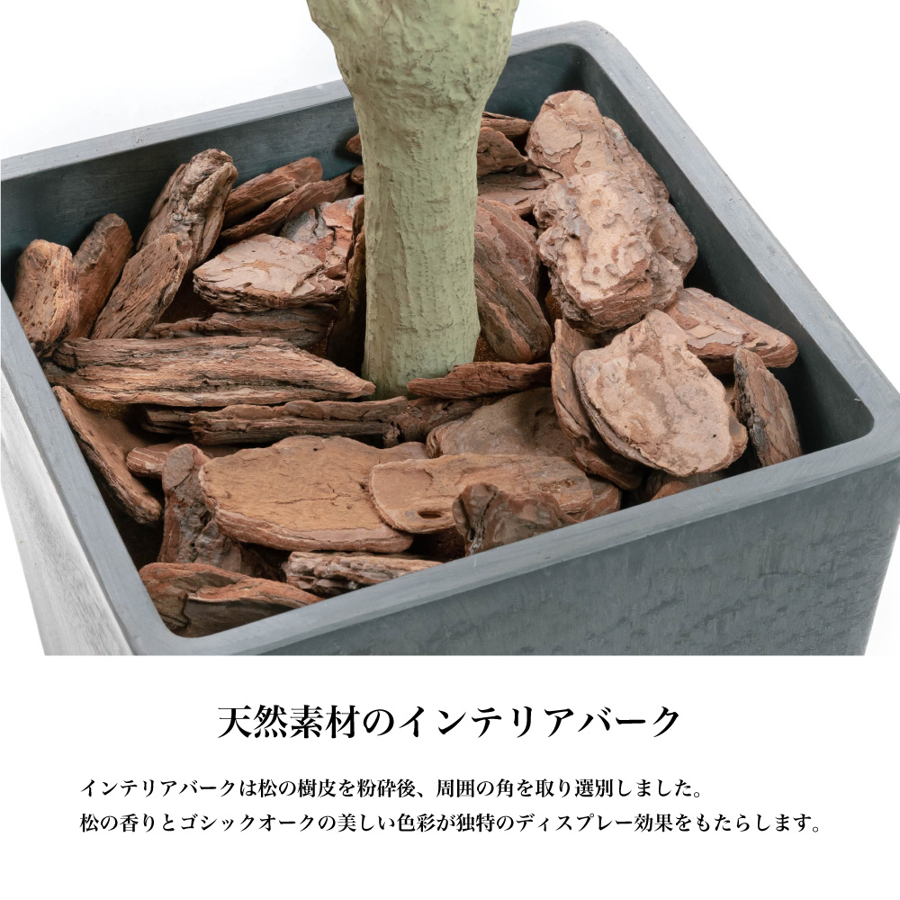 フェイクグリーン 観葉植物 フェイク 人工観葉植物 大型 おしゃれ 光触媒 消臭 抗菌 風水 造花 リビング 本物そっくり / ポリシャス パニキュラータ 175cmの画像