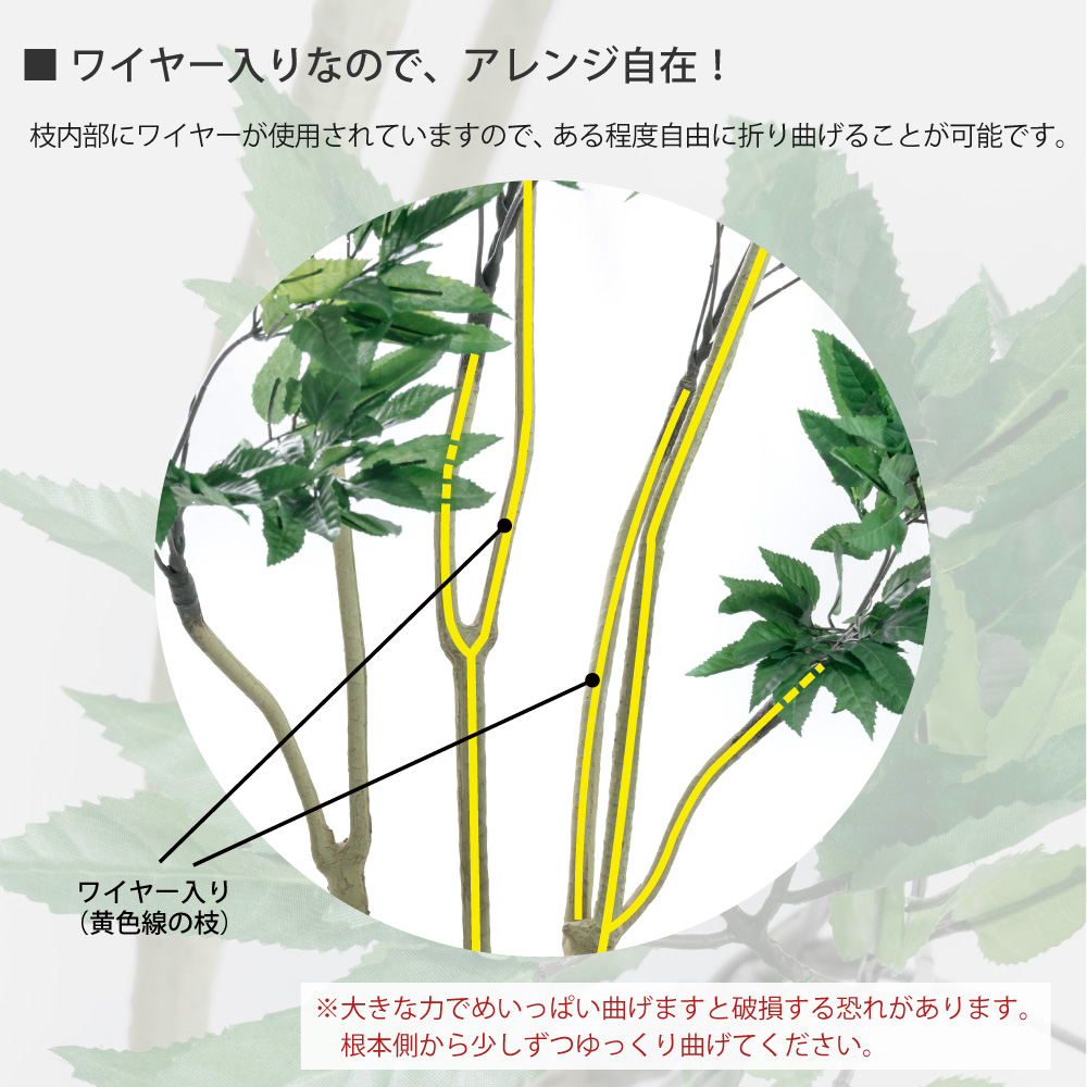 フェイクグリーン 観葉植物 フェイク 人工観葉植物 大型 おしゃれ 光触媒 消臭 抗菌 風水 造花 リビング 本物そっくり / ポリシャス パニキュラータ 175cmの画像