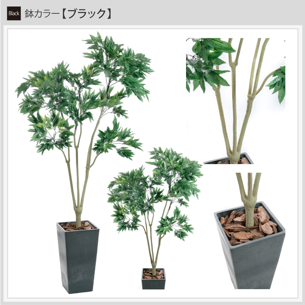 フェイクグリーン 観葉植物 フェイク 人工観葉植物 大型 おしゃれ 光触媒 消臭 抗菌 風水 造花 リビング 本物そっくり / ポリシャス パニキュラータ 175cmの画像