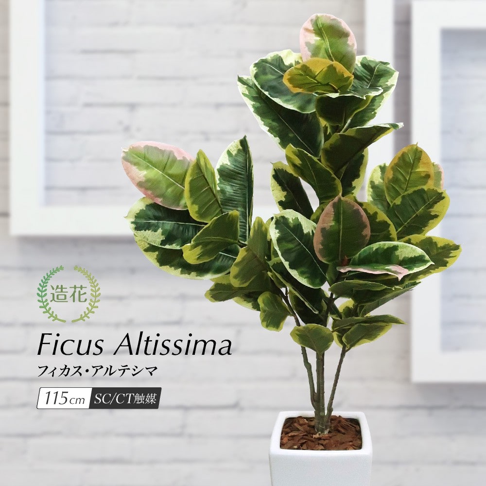 人工観葉植物 フェイクグリーン フィカス アルテシマ 115cm 鉢植 ゴム