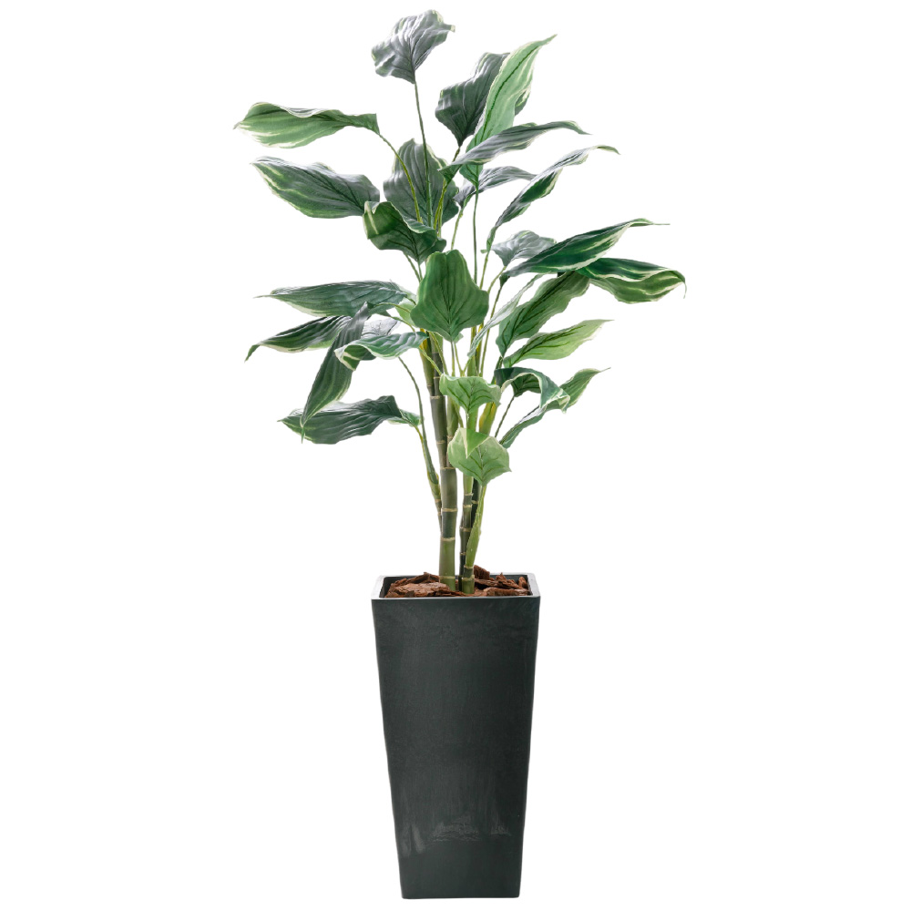 フェイクグリーン 観葉植物 人工観葉 光触媒 CT触媒 消臭 インテリア 造花 鉢植 リアル お祝い 開店 開業祝い ギボウシ/ ホスタプラント斑入り 樹脂鉢 全高135cm_2